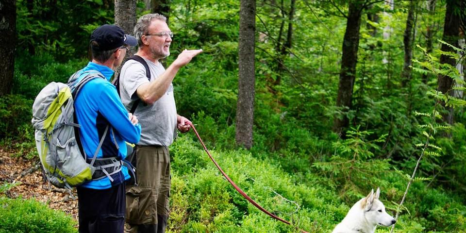 Auf den geführten Touren informieren Nationalpark-Ranger oder -Förster über die Besonderheiten im Schutzgebiet. Foto: Joachim Chwaszcza