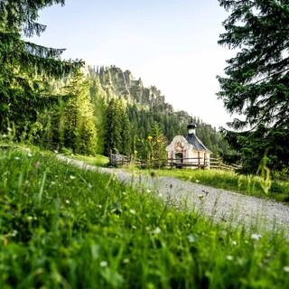 Erholung pur im Naturpark Ammergauer Alpen. Foto: AdobeStock