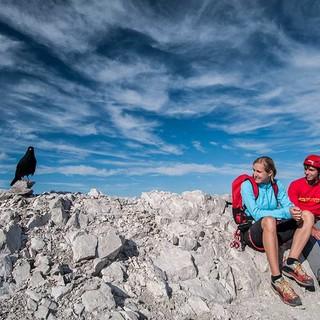 Nicht allzu oft sitzt man allein mit der Dohle auf dem begehrten Bettelwurf-Gipfel. Foto: Heinz Zak
