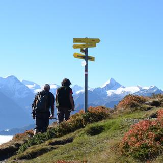 Ob Gipfel- oder Spaziergang: Der Direktblick auf die Wiesbachhorn-Glocknergruppe ist einzigartig. Foto: Andi Dick
