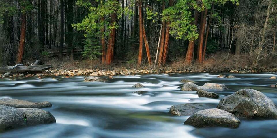 Im Yosemite-Valley, USA. Foto: Peter Mathis