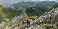 Felsen überm Grün: Weite Weiden erstrecken sich zwischen Braunarlspitze, Hochtannbergpass und Arlberg-Gebiet. Foto: Stefan Herbke