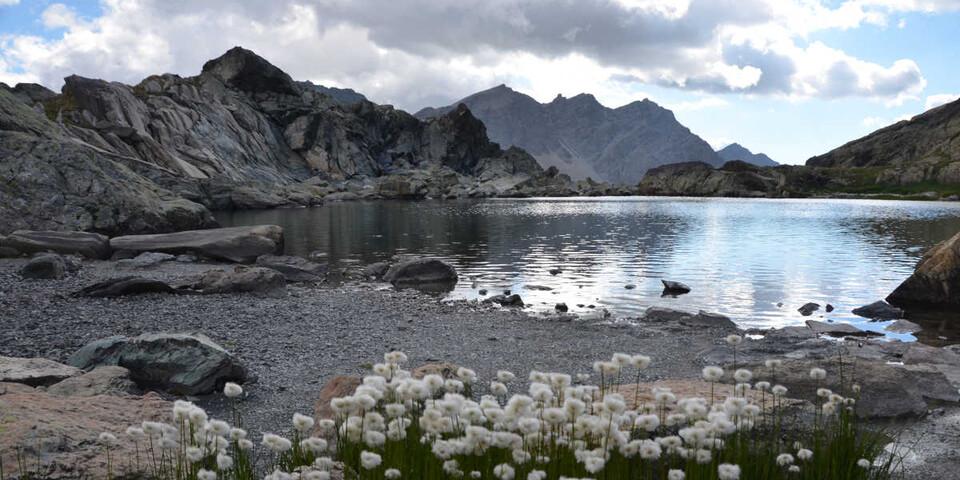 Zwischen Felsen und Wollgras liegt der Lac Blanchet. Foto: Solveig Michelsen