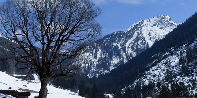 Das Große Walsertal ist perfekt für alle, die Ruhe suchen und aktiv sein wollen. Foto: Stefan Herbke