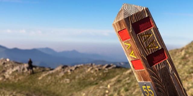 Der Ligurische Höhenweg ist mit einheitlichen Holzpfosten durchgehend gut markiert. Foto: Ingo Röger