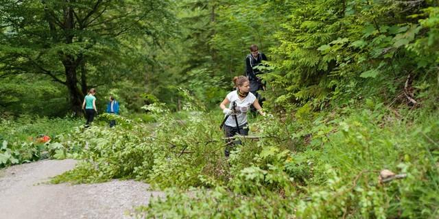Aktion Schutzwald - Fast wie im Dschungel, Foto: DAV/Arvid Uhlig