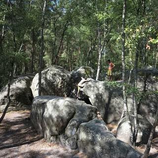Boulder in Fontainebleau, Foto: JDAV/Renate Hubel