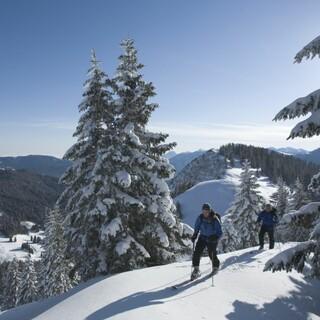 Skitour auf den Hirschberg. Foto: Alpenregion Tegernsee Schliersee