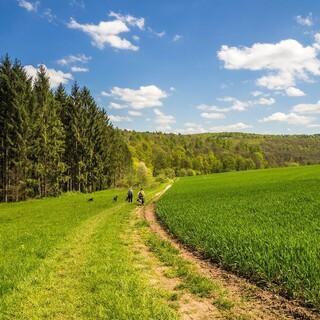 Auch die Mittelgebirge - hier die Rhön - locken zum Wandern. Foto: Melanie Erhard/Pixabay