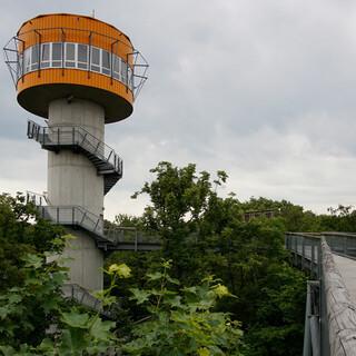 Der Panoramaturm des Baumkronenpfads im Hainich beherbergt auch eine Wetterstation. Foto: Joachim Chwasczca