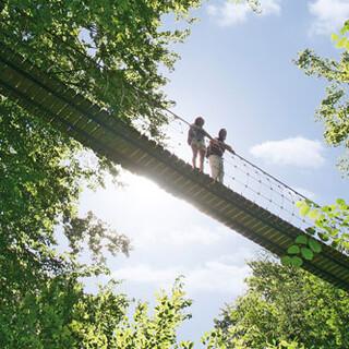 Den Baumwipfeln ganz nah auf der Hängebrücke bei Kühhude. Foto: Rothaarsteigverein e.V./Björn Hänssler