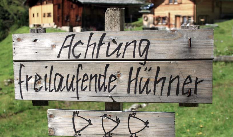 Graubündner Landwirtschaft - Geflügelalarm: In Graubünden ist die Landwirtschaftswelt oft noch in Ordnung, wie dieses Schild beweist.