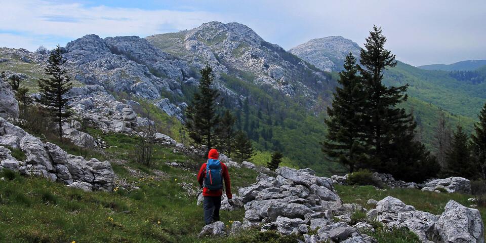 Der Premužić-Trail führt durch herrliche Karstlandschaft Richtung Alan. Foto: Silvia Schmid