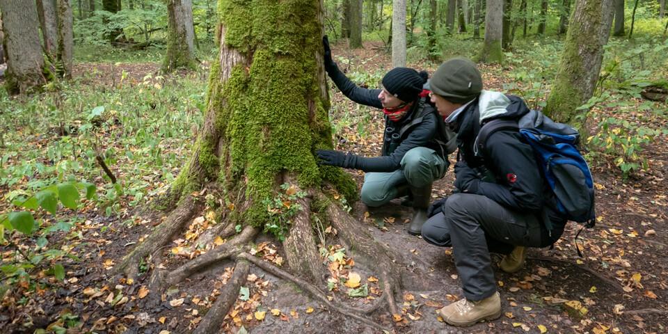 Die Forstwissenschaftlerin Ewa Zin erklärt leicht verständlich hochkomplexe Zusammenhänge des Waldes. Foto: Nadine Ormo