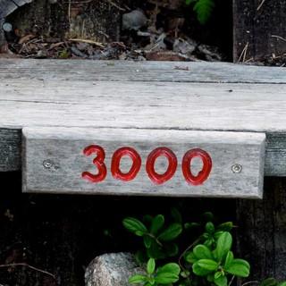 Motivierend oder entmutigend? Jede 500ste Sprosse ist nummeriert. Foto: Antes & Antes
