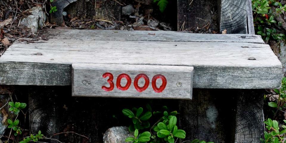 Motivierend oder entmutigend? Jede 500ste Sprosse ist nummeriert. Foto: Antes & Antes
