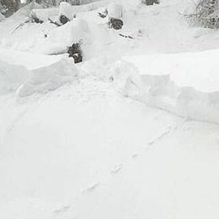 Mitte Januar war der viele Neuschnee in der Schweiz nicht nur in hohen Lagen, sondern auch im Waldbereich leicht auslösbar. Foto: M. Benz