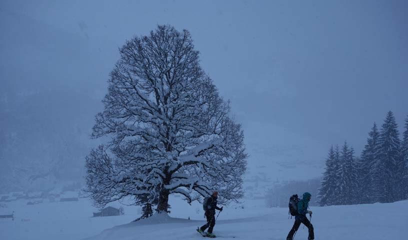 Brendler Lug - Der Brendler Lug ist ein Berg für fast jedes Wetter – für romantische Winterstimmungen allemal.