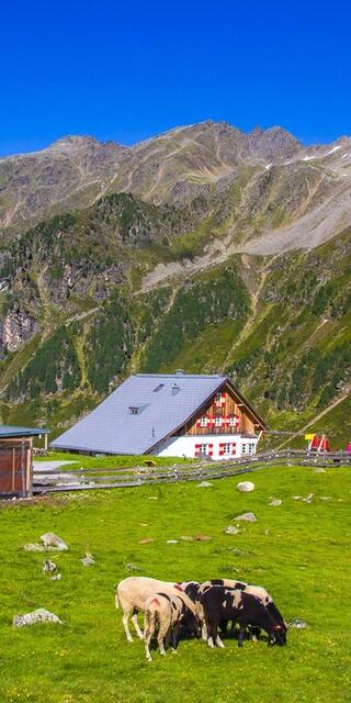 Potsdamer Hütte im Sommer. Foto: Sven Bissart