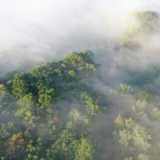 Mystische Nebelstimmung im Westlichen Hintertaunus bei Bad Ems. Foto: Thorsten Brönner