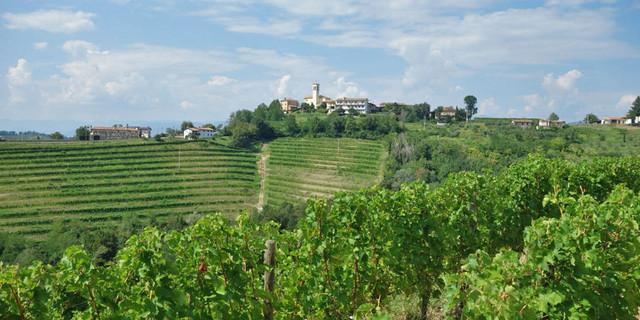 Weinberge und kleine Dörfer prägen das Collio, das bekannte Weingebiet im Friaul. Foto: Christof Herrmann