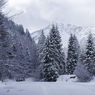 Zapfiger Wintertag auf der Kloo-Ascher-Runde. Foto: Chris Lauterkorn/loipenfetisch.de