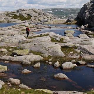 Das steinige Kvernafjell weit oberhalb des Lysefjords fasziniert mit nordischer Kargheit. Foto: Antes & Antes