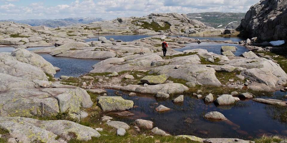 Das steinige Kvernafjell weit oberhalb des Lysefjords fasziniert mit nordischer Kargheit. Foto: Antes & Antes
