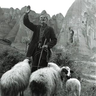 Griechischer Schäfer. Paul Amasy, um 1960
