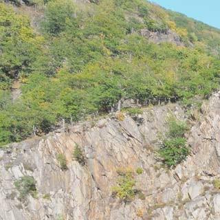 Die Felsenwelt des Bodetals hat beinahe alpine Dimensionen. Foto: Folkert Lenz