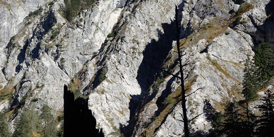 UNESCO-Weltnaturerbe seit Juli 2017: Der Lechnergraben vermittelt den spektakulären Zugang ins Wildnisgebiet Dürrenstein, Foto:  Axel Klemmer