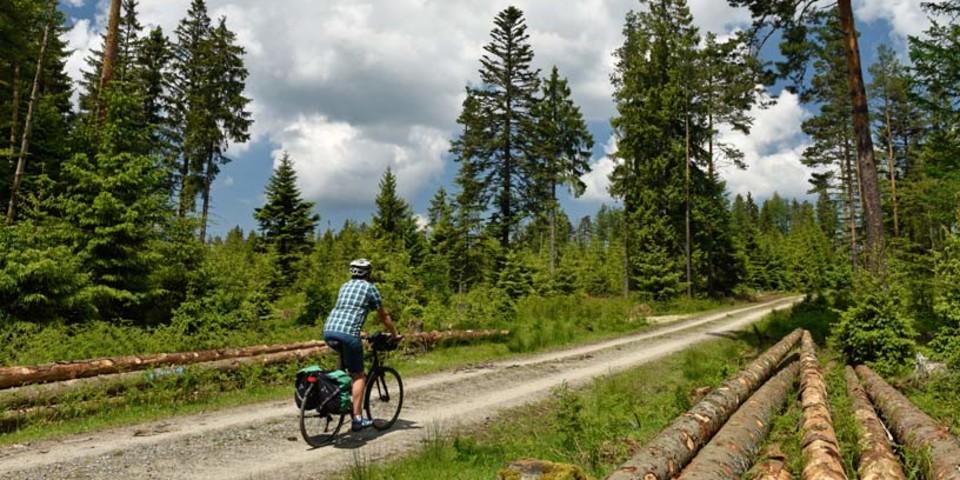 Schwarzwald Panorama-Radweg - Forstarbeit gehört zur Waldpflege – und sichert Radlern gute Aussicht. Foto: Thorsten Brönner