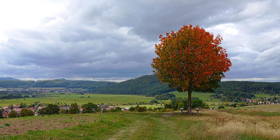 Herbstimpression vom thüringischen Werra-Burgen-Steig. Foto: Klaus Gräbe