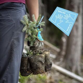Anpacken im Sinne der Nachhaltigkeit. Foto: DAV/Silvan Metz