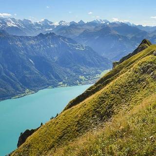 Der Brienzergrat ist eine der längsten Steilpromenaden der Berner Voralpen – auch die Aussicht ist kaum zu übertreffen. Foto: Bernd Jung